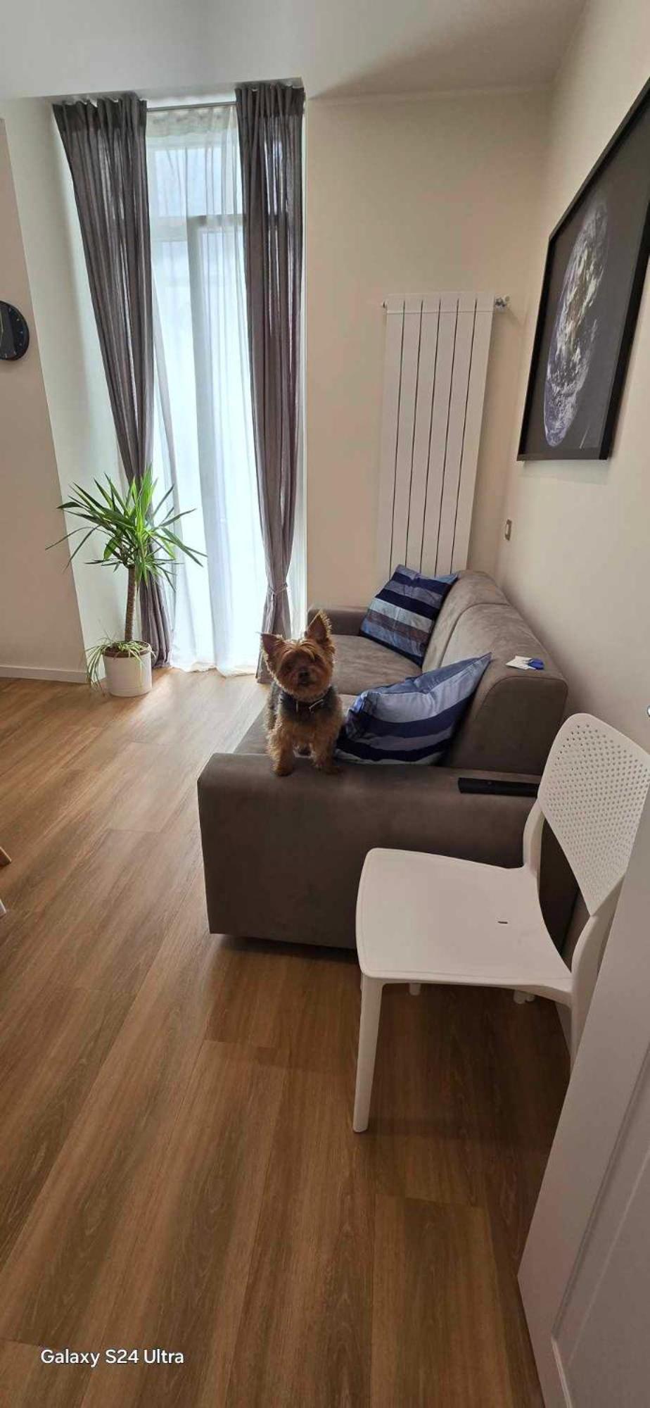 The Dream Apartment 100 M Dal Mare Савона Екстериор снимка